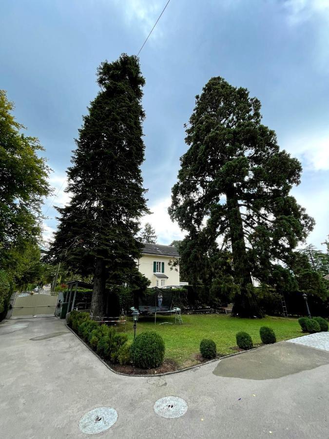 Residence Mont-Blanc Genf Kültér fotó